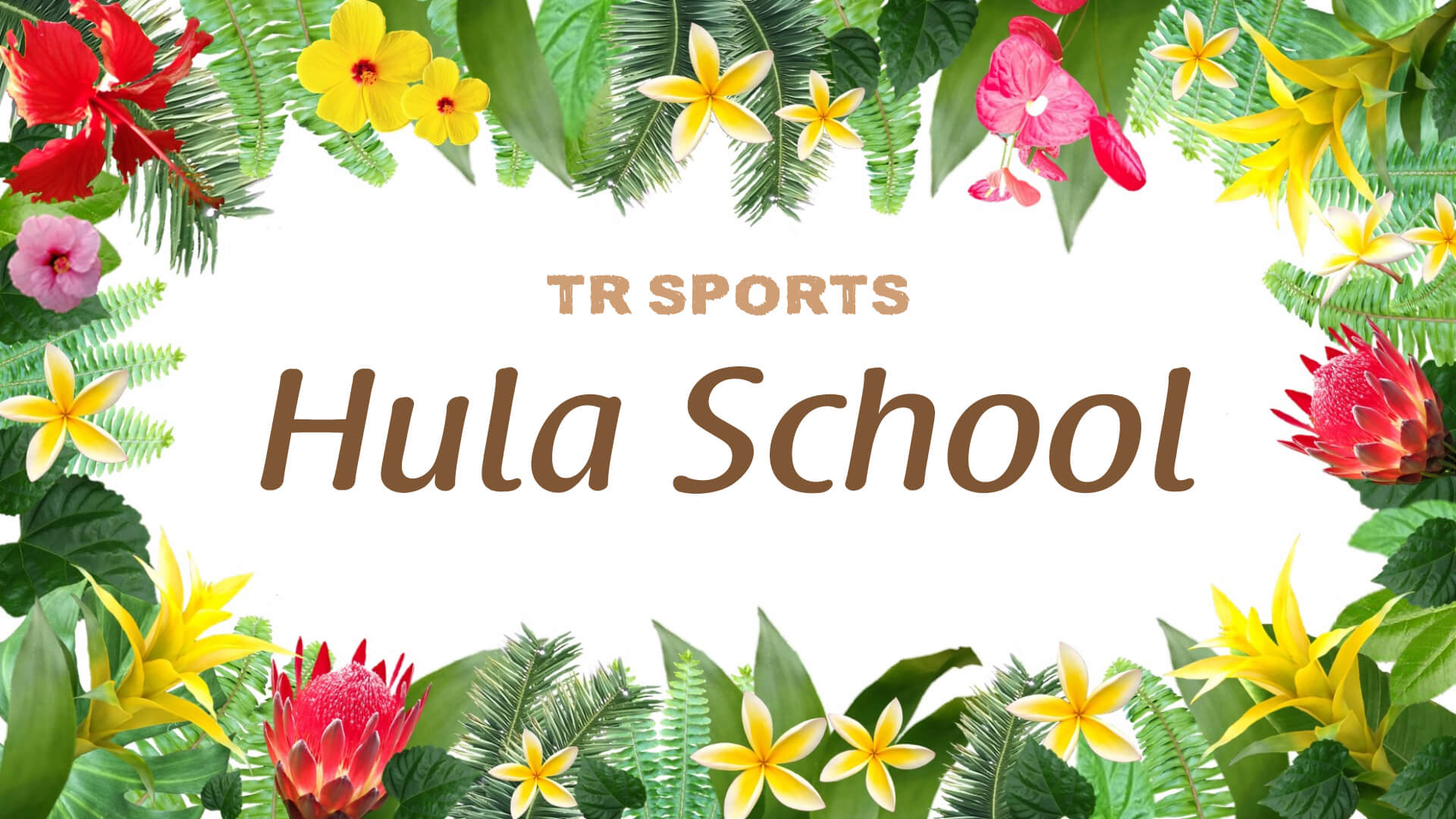 TR SPORTS Hula School
